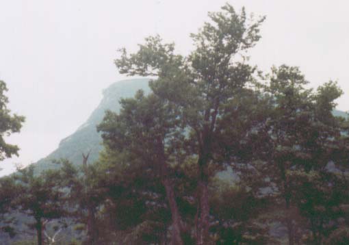 manofthemountain.jpg